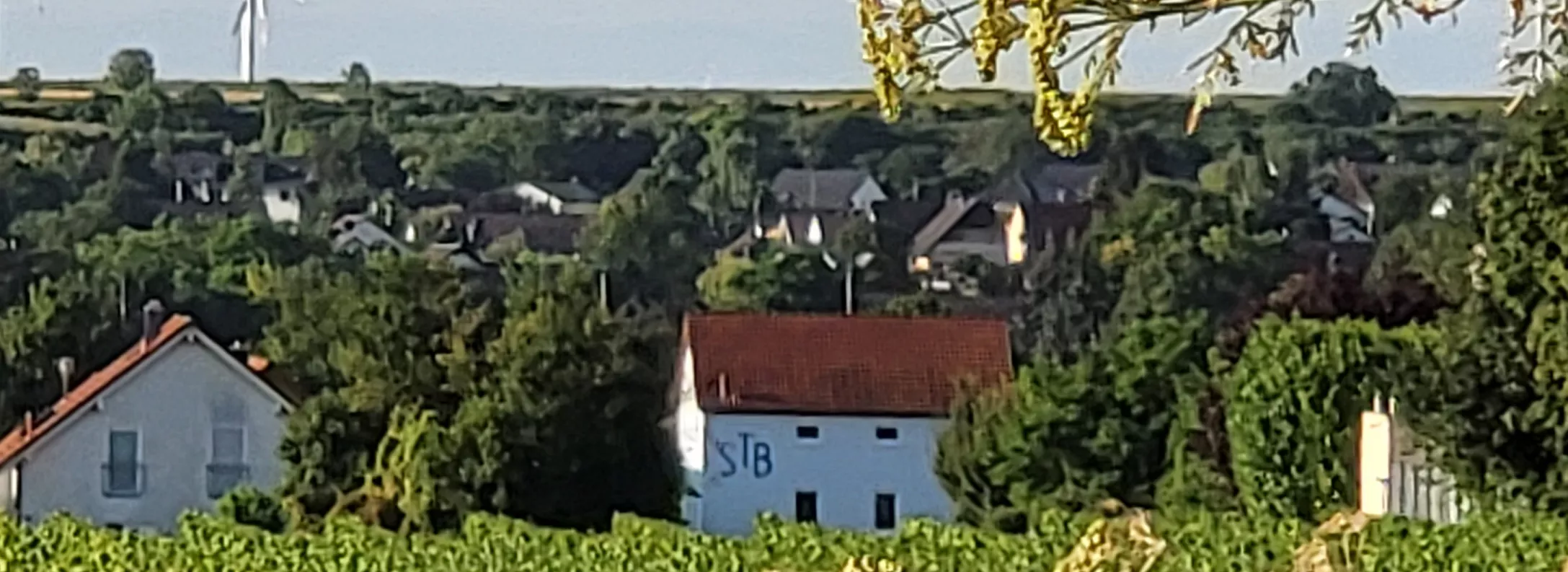 stb-klar-hintergrund